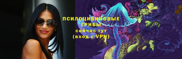 эйфоретик Абаза
