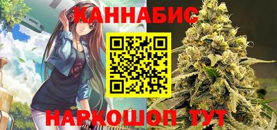 шишки Камышлов