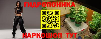 шишки Камышлов