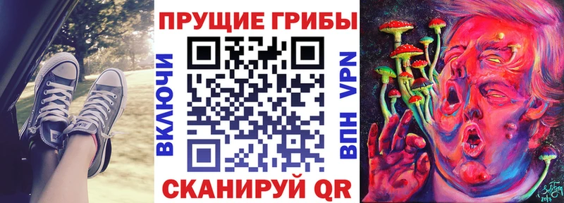 купить наркоту  Южноуральск  Псилоцибиновые грибы Cubensis 