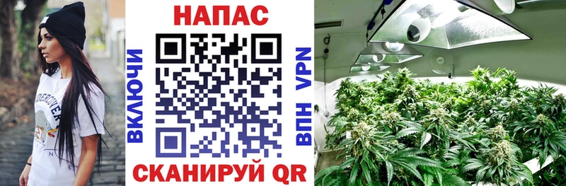 Канабис семена  Южноуральск 